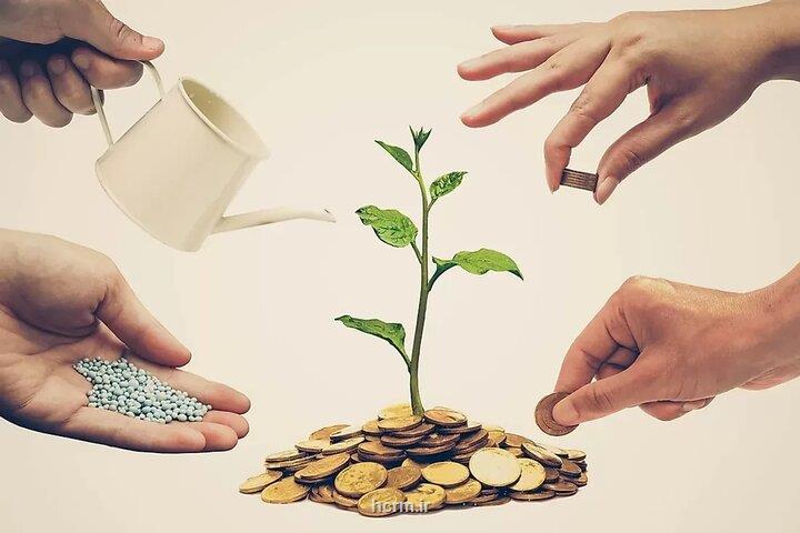 ضرورت تاسیس تعاونی های آموزش دیجیتال در کشور