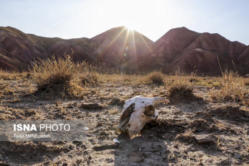 اثرگذاری فرونشست و برداشت سریع از مخازن نفتی و گازی در ایجاد زمینلرزه های القایی
