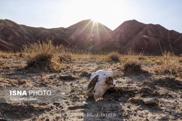 اثرگذاری فرونشست و برداشت سریع از مخازن نفتی و گازی در ایجاد زمینلرزه های القایی اثرگذاری فرونشست و برداشت سریع از مخازن نفتی و گازی در ایجاد زمینلرزه های القایی