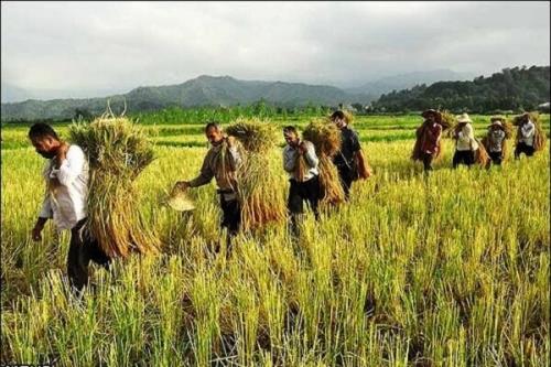 جذب ۷۰۰ هزار بیمه شده جدید در دولت سیزدهم