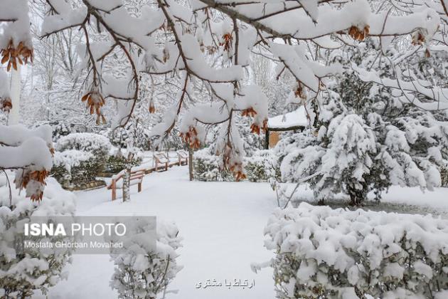 ورود سامانه بارشی به کشور طی امروز ورود سامانه بارشی به کشور طی امروز