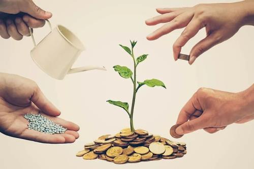 ضرورت تاسیس تعاونی های آموزش دیجیتال در کشور