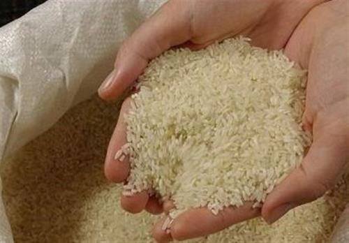 کاهش قیمت برنج ایرانی تا ۱۵۸ هزار تومان