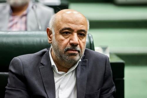 دولت و مجلس مجدانه پیگیر اجرای طرح کوپن هستند