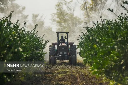 سهم ۱۴ و نیم درصدی بخش کشاورزی از اشتغال کشور