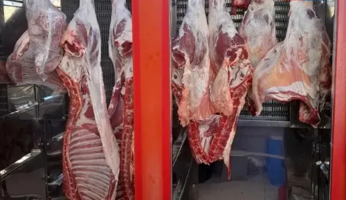 کاهش چشم گیر قیمت گوشت قرمز در بازار امروز