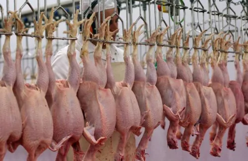 اعلام قیمت مصوب مرغ اسفند ۱۴۰۴