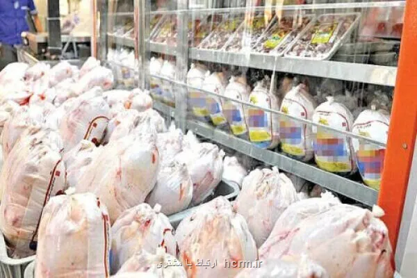 قیمت جدید مرغ در بازار قیمت جدید مرغ در بازار