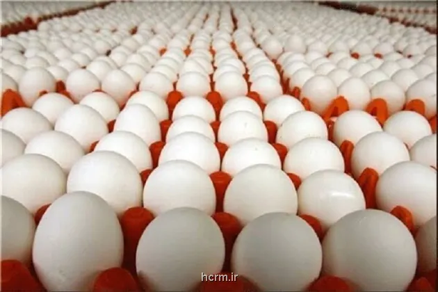 قیمت هر شانه تخم مرغ فله به ۷۰۰ هزار تومان هم رسید قیمت هر شانه تخم مرغ فله به ۷۰۰ هزار تومان هم رسید