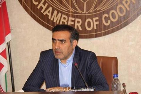 تولید تعاونی های بزرگ عرضه محصولات ایرانی در تمام شهرها