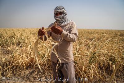 وعده بازگشت به كار ۲۰ كارگر نیشكر هفت تپه