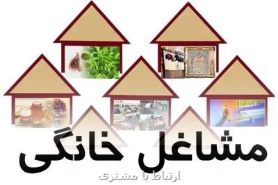 جزئیات طرح توسعه مشاغل خانگی در ۳۱ استان