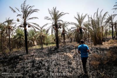 نرخ بیكاری در شادگان به ۴۵ درصد رسید