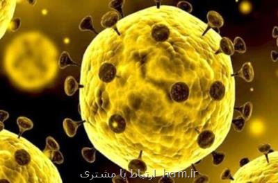 درآمد كارگران جهان ۳ و هفت دهم تریلیون دلار كاهش پیدا كرد درآمد كارگران جهان ۳ و هفت دهم تریلیون دلار كاهش پیدا كرد